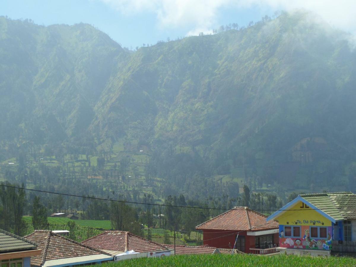 Tengger Indah Homestay Bromo Exterior photo